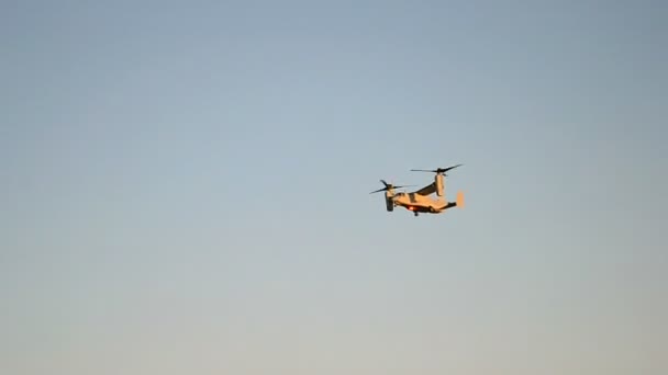 Elicottero militare su cielo blu, moderna diversità aeronautica . — Video Stock