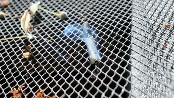 Сигарета з синім смогом на поверхні металевої сітки — стокове відео