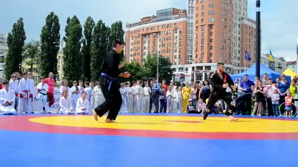 Спортивная выставка 2014 - Детский спортивный фестиваль в Киеве, Украина . — стоковое видео