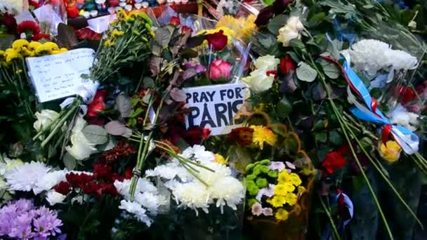 在基辅，乌克兰的法国大使馆。蜡烛和鲜花令人难忘的纪念. — 图库视频影像