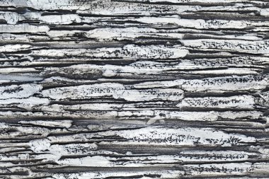 yüzey doku duvar Dekoratif Sıva