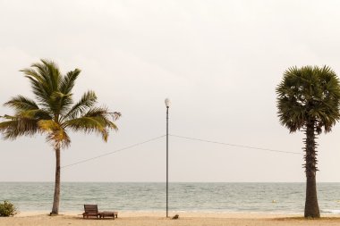 Palm Beach Okyanusu Adası