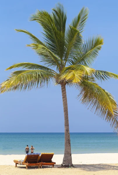 Palm Beach Okyanusu Adası — Stok fotoğraf