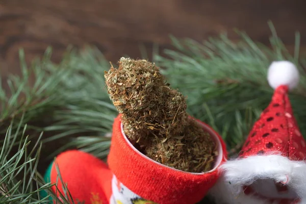 Büyük Kenevir Konisi Noel Süslemesi Marihuana Yakın Çekim Tomurcukları — Stok fotoğraf