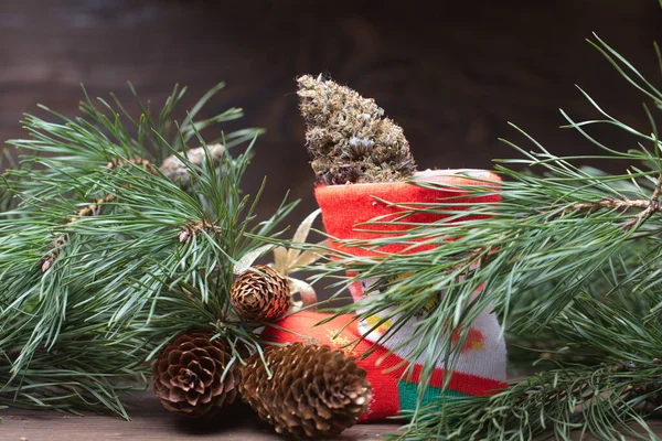 大大麻锥形圣诞装饰品 大麻近身 大麻芽 — 图库照片