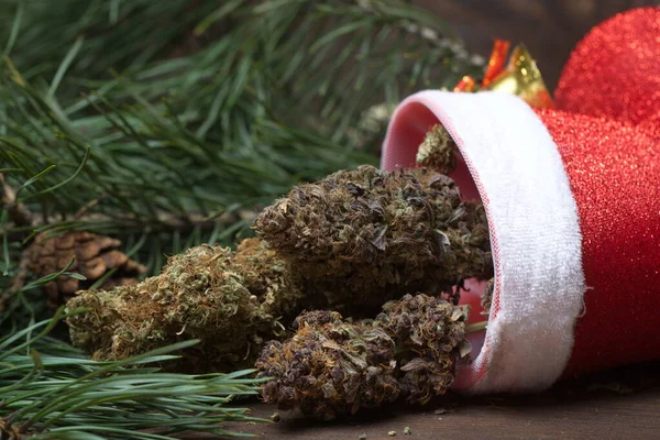 Grande Cone Cannabis Decoração Natal Marijuana Perto Botões Cânhamo — Fotografia de Stock