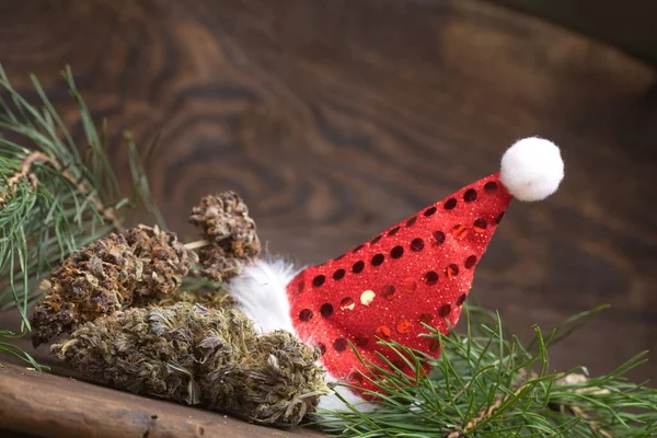 大大麻锥形圣诞装饰品 大麻近身 大麻芽 — 图库照片