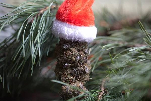 大きな大麻コーンクリスマスの装飾 マリファナを閉めろ 麻の芽 — ストック写真