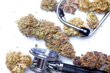 Tıbbi marihuana kenevir CD 'si. Kenevir tomurcukları. tıp konsepti
