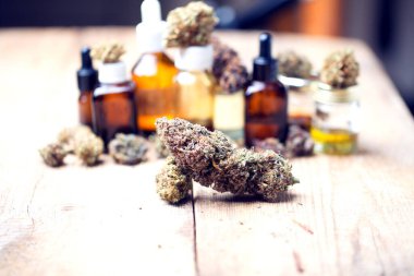 Tıbbi marihuana kenevir CD 'si. Kenevir tomurcukları. tıp konsepti