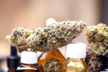 Tıbbi marihuana kenevir CD 'si. Kenevir tomurcukları. tıp konsepti