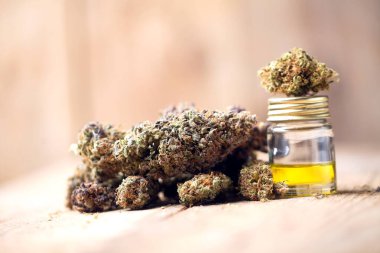 Tıbbi marihuana kenevir CD 'si. Kenevir tomurcukları. tıp konsepti