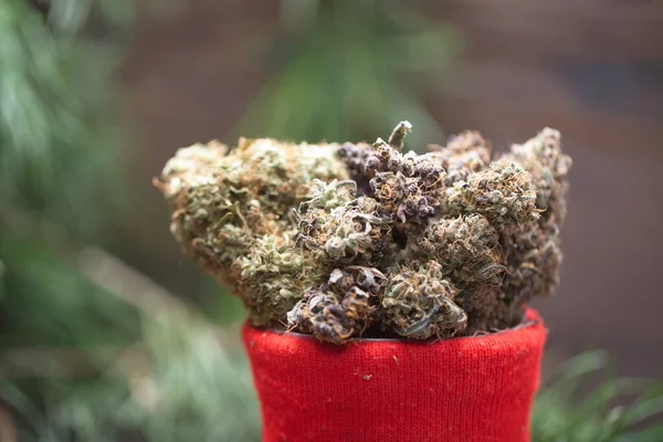 Grote Cannabis Kegel Kerstversiering Marihuana Van Dichtbij Hennepknoppen — Stockfoto