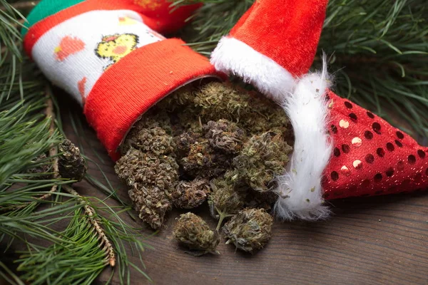 Big Cannabis Cone Christmas Decoration Marijuana Close Hemp Buds — Stock Photo, Image