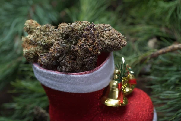 Büyük Kenevir Konisi Noel Süslemesi Marihuana Yakın Çekim Tomurcukları — Stok fotoğraf