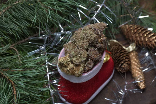 Büyük Kenevir Konisi Noel Süslemesi Marihuana Yakın Çekim Tomurcukları — Stok fotoğraf