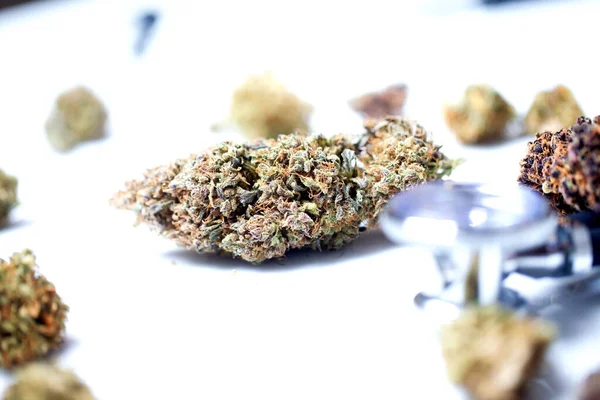 Medical Marijuana Cannabis Cbd Hemp Buds Medicine Concept — Stock Photo, Image