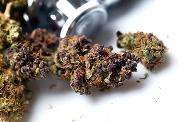 Medicinsk Marijuana Cannabis Cbd Hampknoppar Medicinska Begrepp — Stockfoto