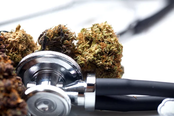 医療用マリファナ大麻のCbd 麻の芽 医学の概念 — ストック写真