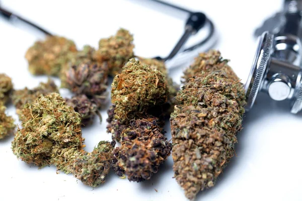 Medicinsk Marijuana Cannabis Cbd Hampknoppar Medicinska Begrepp — Stockfoto