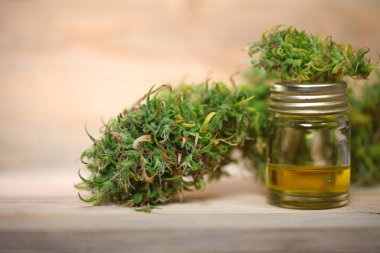 Tıbbi marihuana. Esrar Indica. CBC yağı. ot tomurcukları