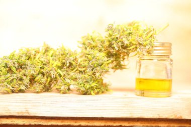 Tıbbi marihuana. Esrar Indica. CBC yağı. ot tomurcukları