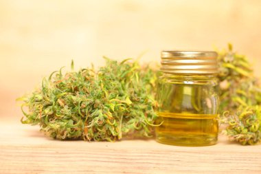 Tıbbi marihuana. Esrar Indica. CBC yağı. ot tomurcukları