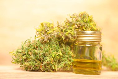 Tıbbi marihuana. Esrar Indica. CBC yağı. ot tomurcukları