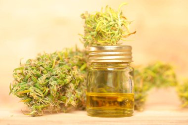 Tıbbi marihuana. Esrar Indica. CBC yağı. ot tomurcukları