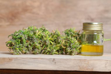 Tıbbi marihuana. Esrar Indica. CBC yağı. ot tomurcukları