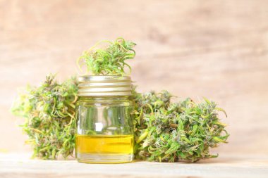 Tıbbi marihuana. Esrar Indica. CBC yağı. ot tomurcukları