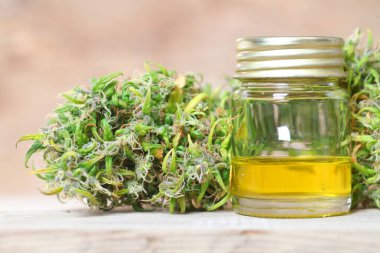 Tıbbi marihuana. Esrar Indica. CBC yağı. ot tomurcukları