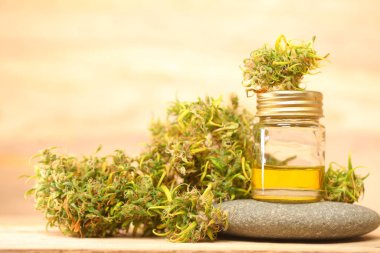 Tıbbi marihuana. Esrar Indica. CBC yağı. ot tomurcukları