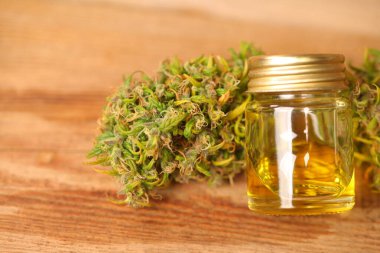 Tıbbi marihuana. Esrar Indica. CBC yağı. ot tomurcukları