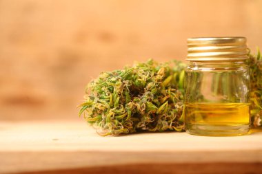 Tıbbi marihuana. Esrar Indica. CBC yağı. ot tomurcukları