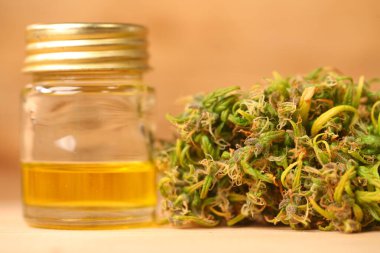 Tıbbi marihuana. Esrar Indica. CBC yağı. ot tomurcukları