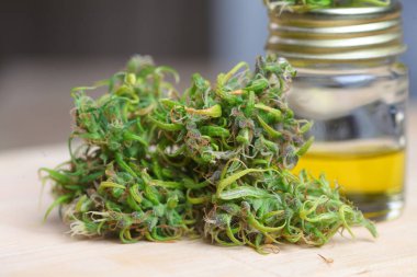 Tıbbi marihuana. Esrar Indica. CBC yağı. ot tomurcukları