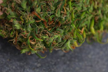 Tıbbi marihuana. Esrar Indica. CBC yağı. ot tomurcukları