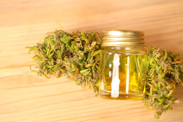 Tıbbi marihuana. Esrar Indica. CBC yağı. ot tomurcukları