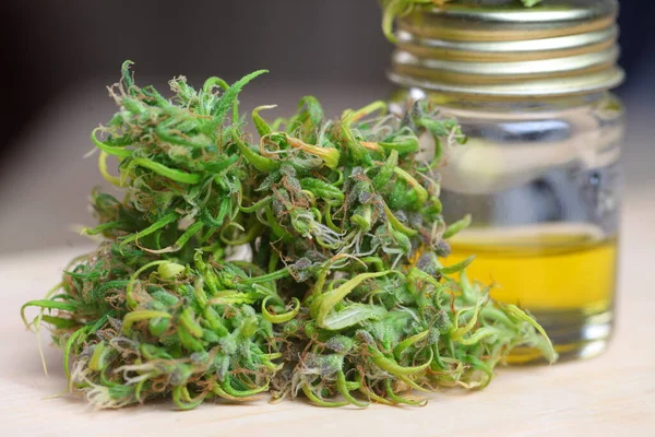 Marihuana Medicinal Cannabis Indica Aceite Cbd Cogollos Cáñamo — Foto de Stock