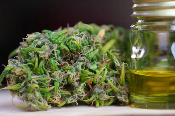 Медицинская Марихуана Конопля Индийская Cbd Oil Бутоны Конопли — стоковое фото