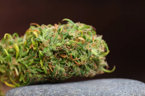Medicinsk Marijuana Cannabisindica Cbd Olja Hampknoppar — Stockfoto