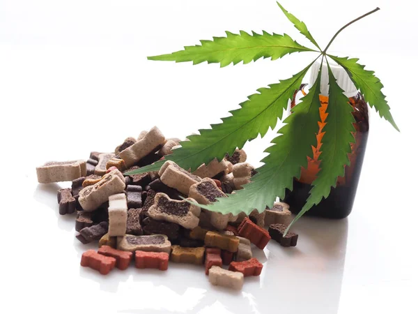 Cibo Cani Con Olio Cannabis — Foto Stock