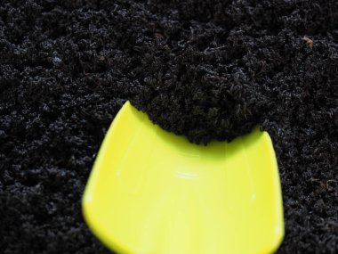 Vermicompost tohumları eken solucanlar tarafından işleniyor.