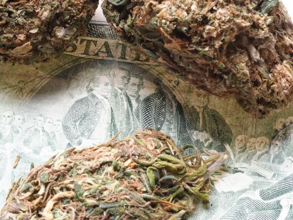 Αμερικάνικα Δολάρια Και Κάνναβη Ιατρική Μαριχουάνα Επιχειρηματική Έννοια — Φωτογραφία Αρχείου