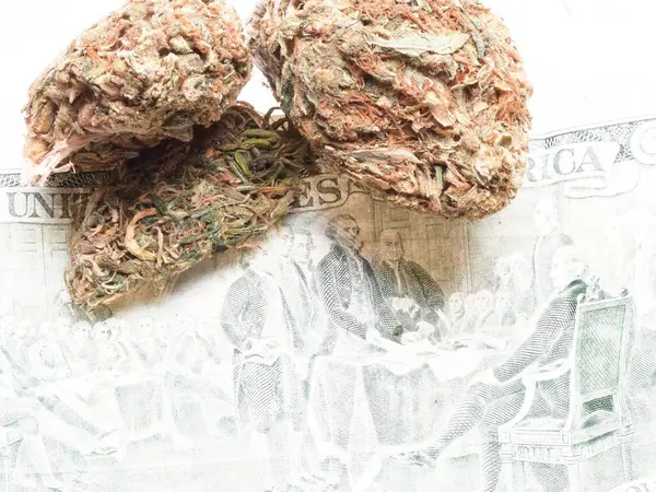 Amerykańskie Dolary Marihuana Medyczna Koncepcja Biznesu — Zdjęcie stockowe