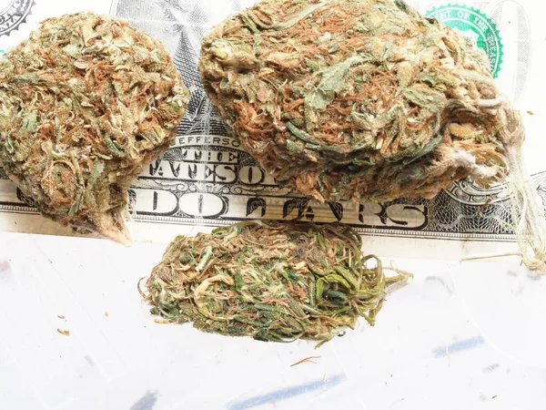 Concepto Negocio Marihuana Medicinal Dólares Americanos Cannabis —  Fotos de Stock