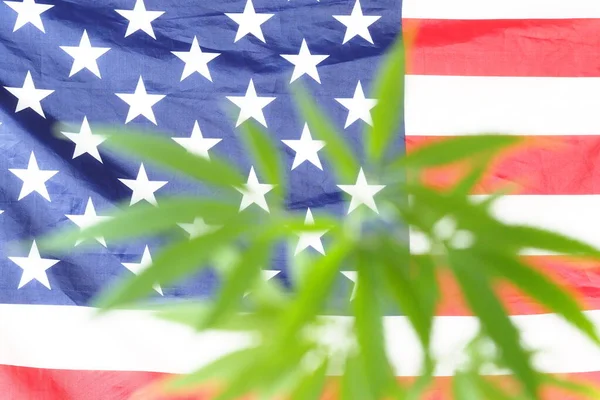 Flag America Cannabis Plant Marijuana Legalize — Stock Photo, Image