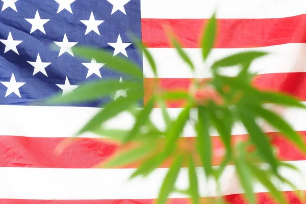 Flag America Cannabis Plant Marijuana Legalize — Stock Photo, Image