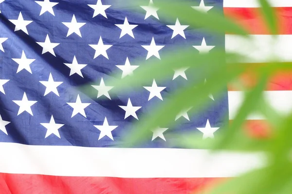 Flag America Cannabis Plant Marijuana Legalize — Stock Photo, Image